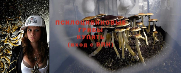 прущая мука Красноперекопск