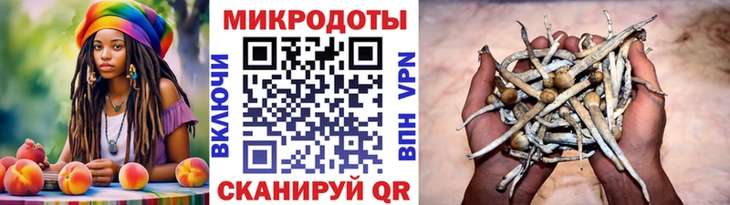 Галлюциногенные грибы Magic Shrooms  Купить закладки  Боготол 
